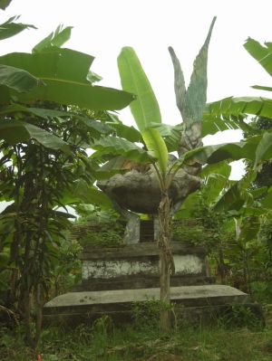 Persembunyian patung cikal