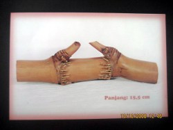 bambu unik berbentuk papak