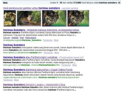 "Harimau Sumatera" ada di nomor 5 halaman pertama google.co.id