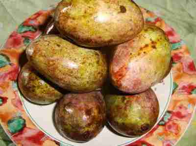 Mangga Kasturi