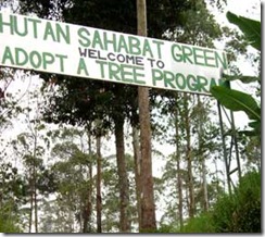 program adopsi pohon