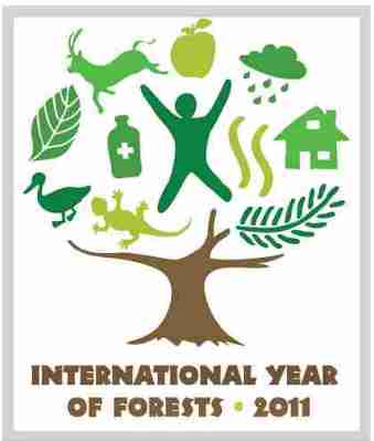 Logo Tahun Hutan Internasional 2011