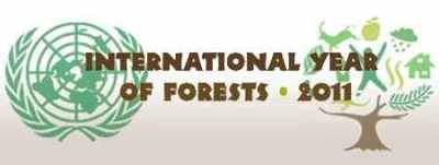 Logo tahun hutan internasional 2011