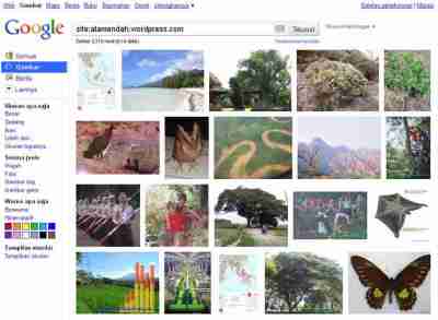 Tampilan galeri gambar alamendah's blog