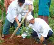 Menanam pohon investasi surga