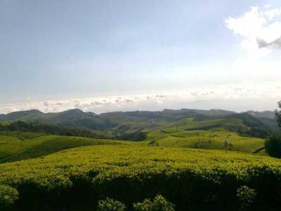 Agrowisata-Kaligua Agrowisata Kaligua