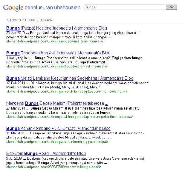 Hasil Penelusuran Google Custom Search Engine