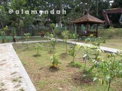 Kebun Kehati di TPA Margorejo Pati