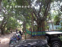 Suasana teduh di TPA Margorejo Pati