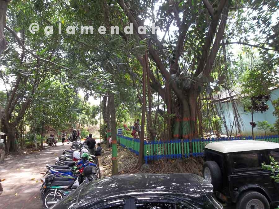 Suasana teduh di TPA Margorejo Pati