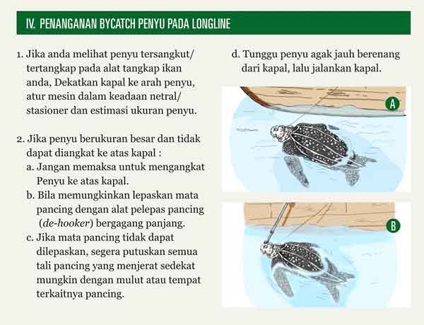 BMP – Panduan Penanganan Penyu sebagai Hasil Tangkapan Sampingan (Bycatch)