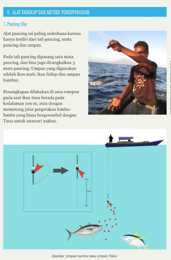 BMP – Perikanan Tuna