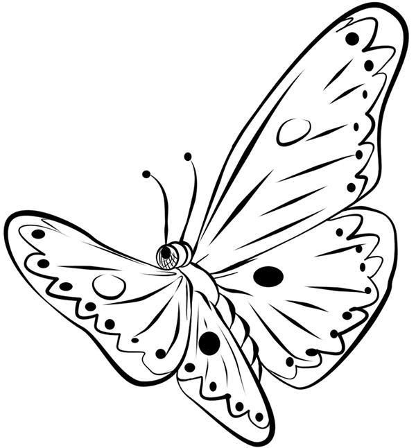 mewarnai-gambar-kupu-kupu-03