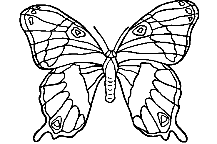mewarnai-gambar-kupu-kupu-08