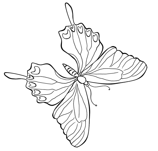 mewarnai-gambar-kupu-kupu-14