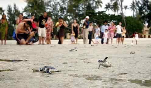 The Face of Climate Change