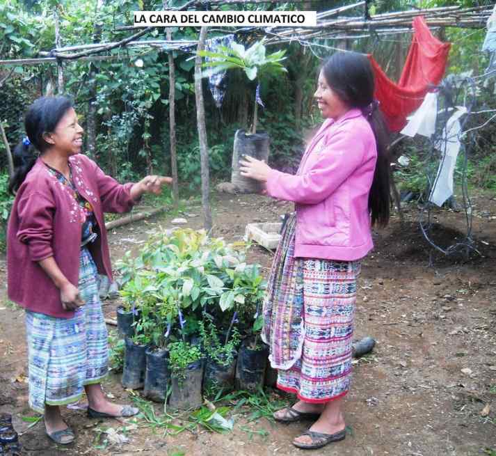 The Face of Climate Change