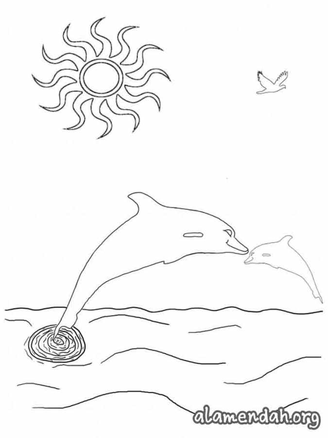 Mewarnai gambar lumba-lumba