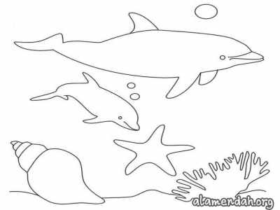 Mewarnai gambar lumba-lumba 