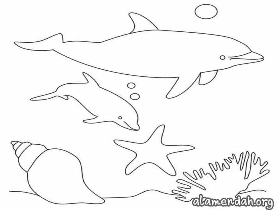 Mewarnai gambar lumba-lumba