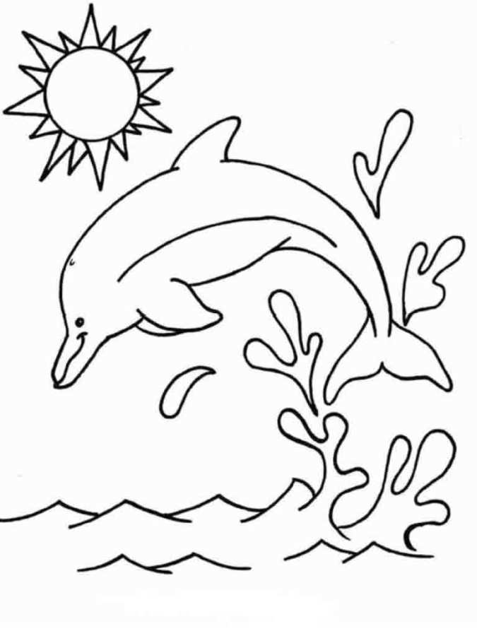 Mewarnai gambar lumba-lumba