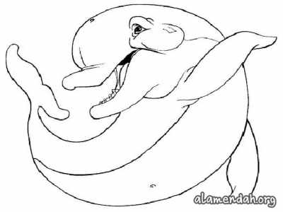 Mewarnai gambar lumba-lumba 