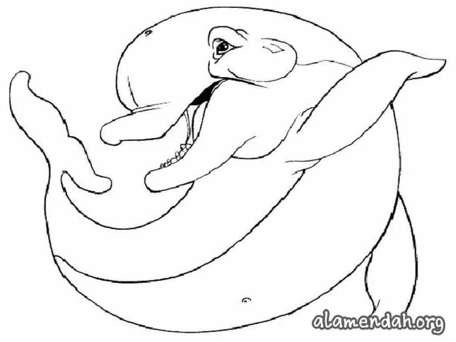Mewarnai gambar lumba-lumba