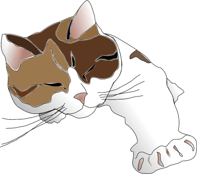 Gambar kucing imut tidur