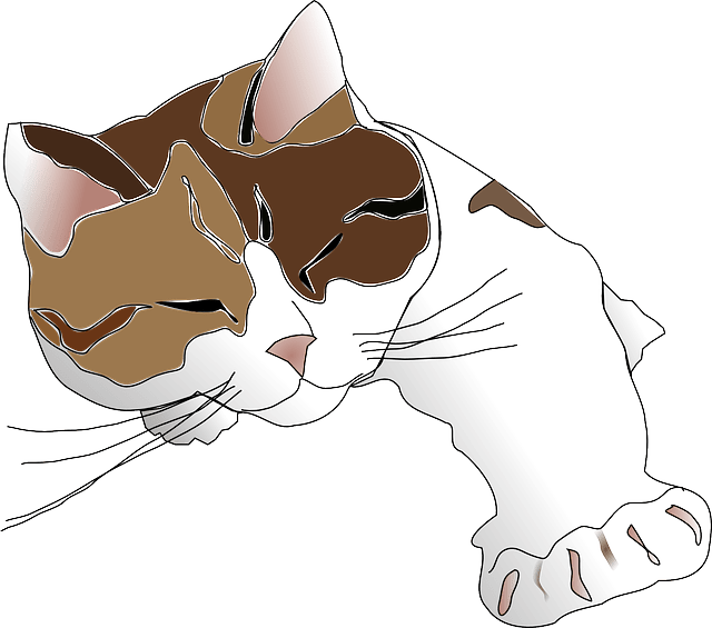 Gambar kucing imut tidur