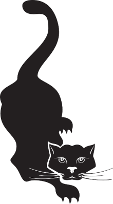 Gambar kucing menyergap