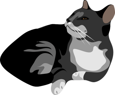 Gambar kucing istirahat