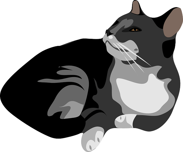 Gambar kucing istirahat