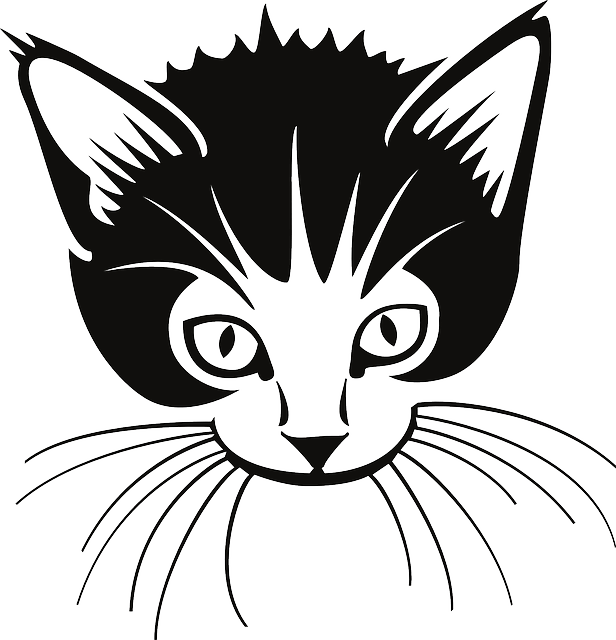 Gambar kepala kucing