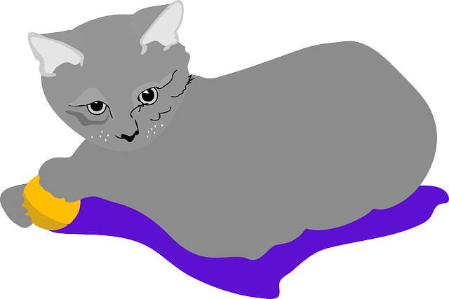 Gambar kucing malas tidur