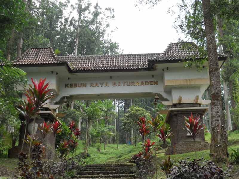 Kebun Raya Baturaden