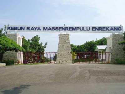 Kebun Raya Enrekang
