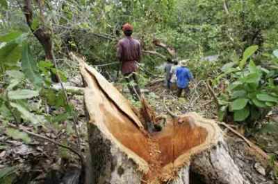 Kerusakan lingkungan