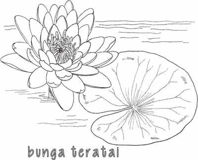Mewarnai Bunga Teratai