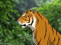 animasi harimau mengaum 01