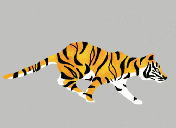 animasi harimau gerak lari 14
