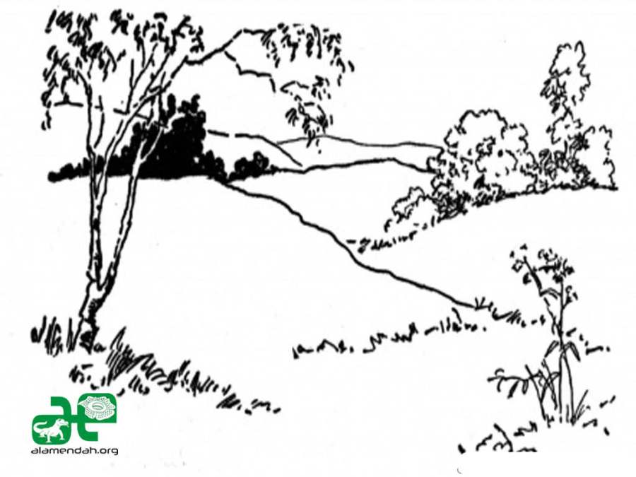 Mewarnai-Gambar-Pemandangan-Alam-Hitam-Putih-03