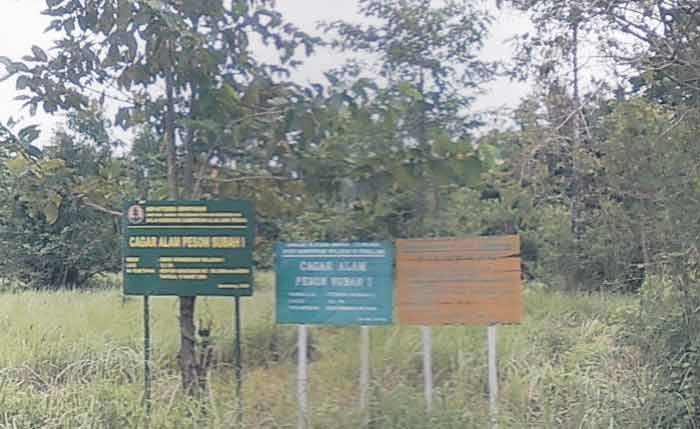 Cagar Alam Peson Subah I