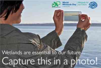 Kontes Foto Lahan Basah 3
