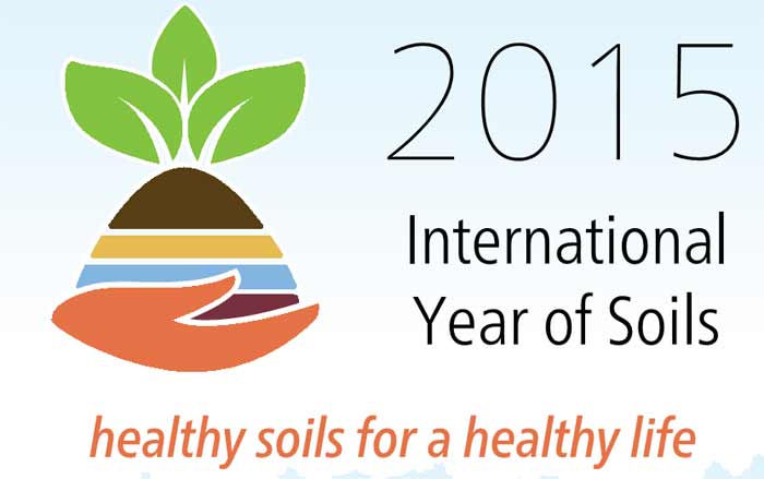 2015, Tahun Tanah Internasional