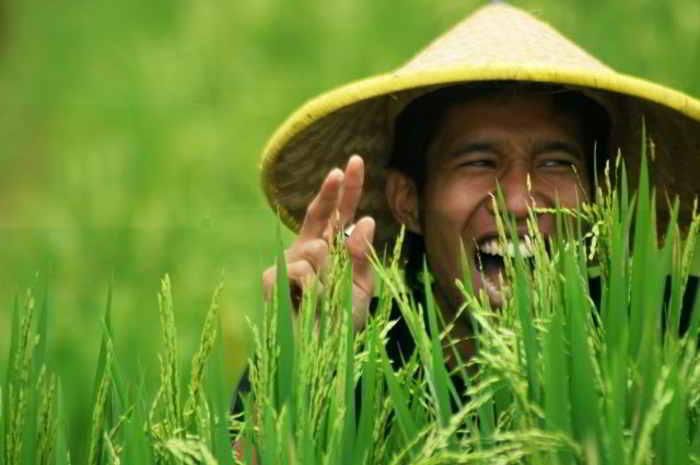 tanah untuk ketahan pangan