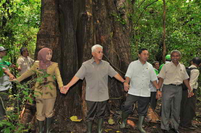 Cagar Alam Pagerwunung Darupono