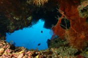 Dive Spot di Banda
