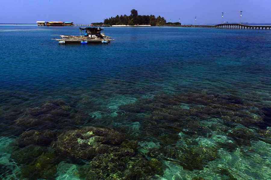 Dive Spot Pulau Sepa Kep. Seribu
