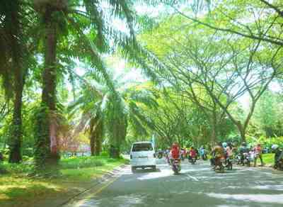 Kota dengan Udara Bersih