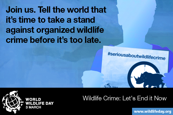 Media Gambar World Wildlife Day 1